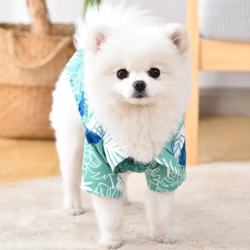 Summer Dog Clothes