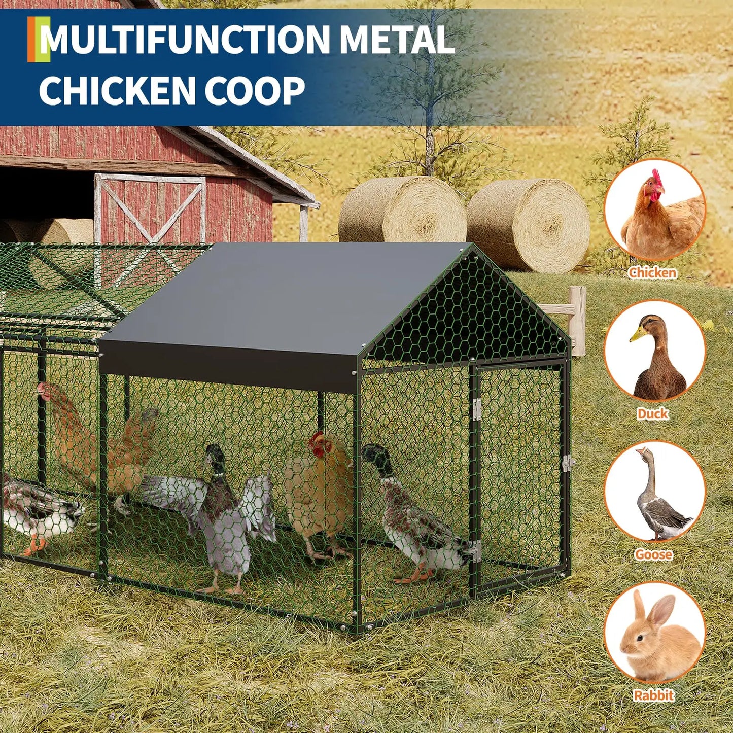 Metal Chicken Coop