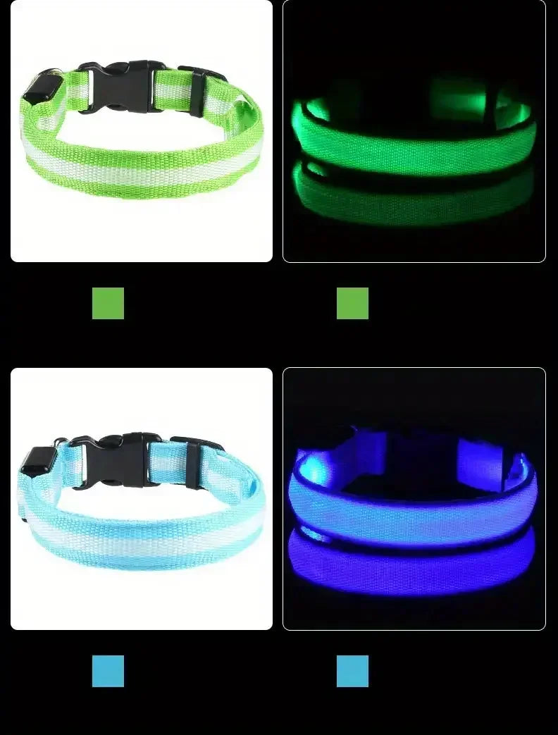 Light Up LED Pet Dog Collar