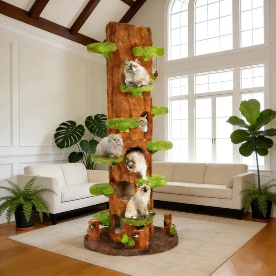 Green Cat Tower with 6 Condos