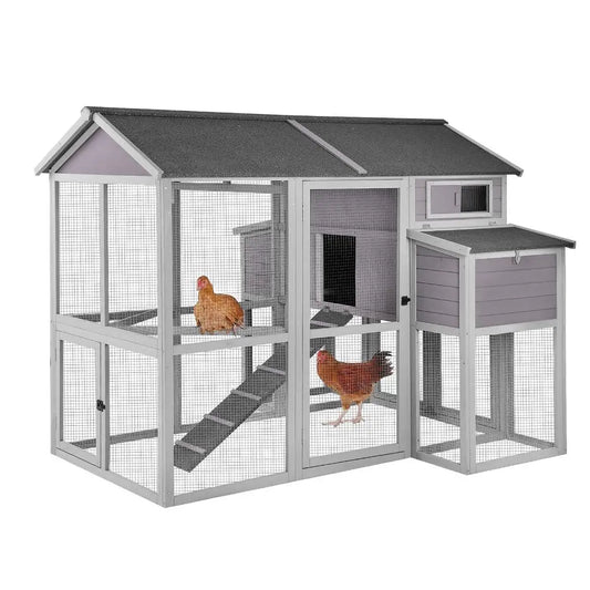 Chicken Coop