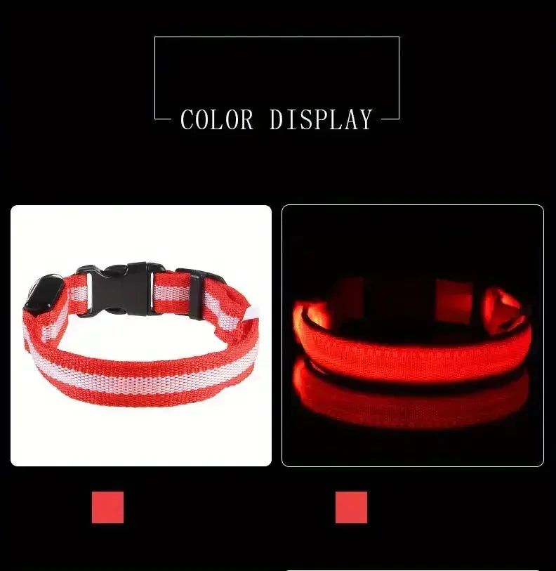 Light Up LED Pet Dog Collar