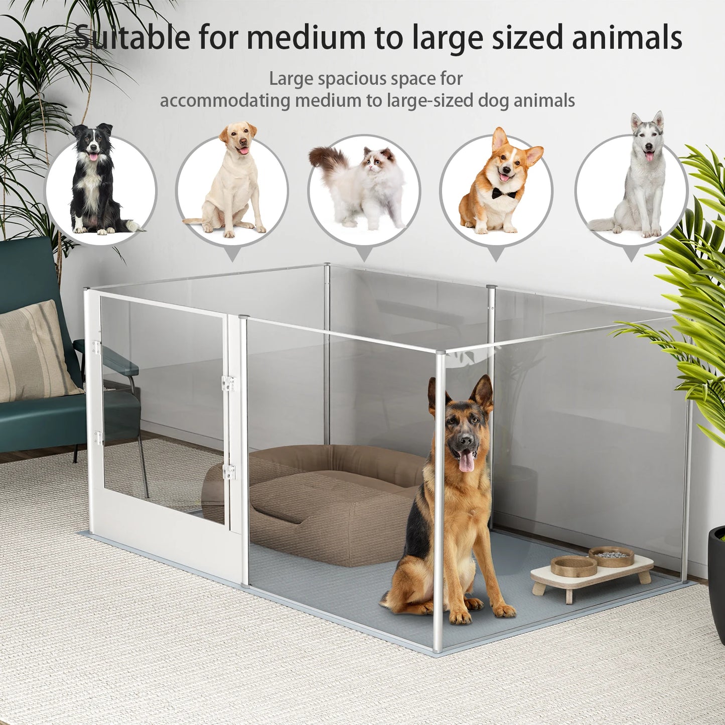 BingoPaw Acrylic Dog Playpen Fence