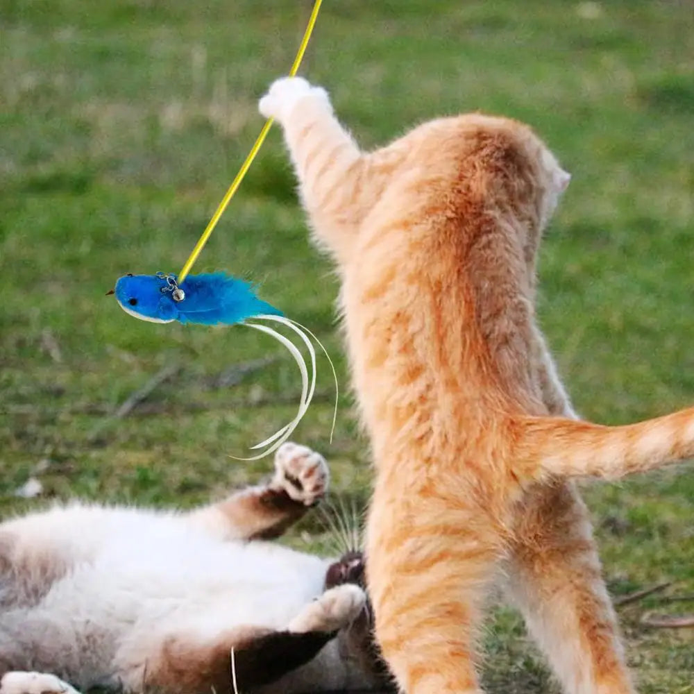 Cat Teaser Wand Attachments