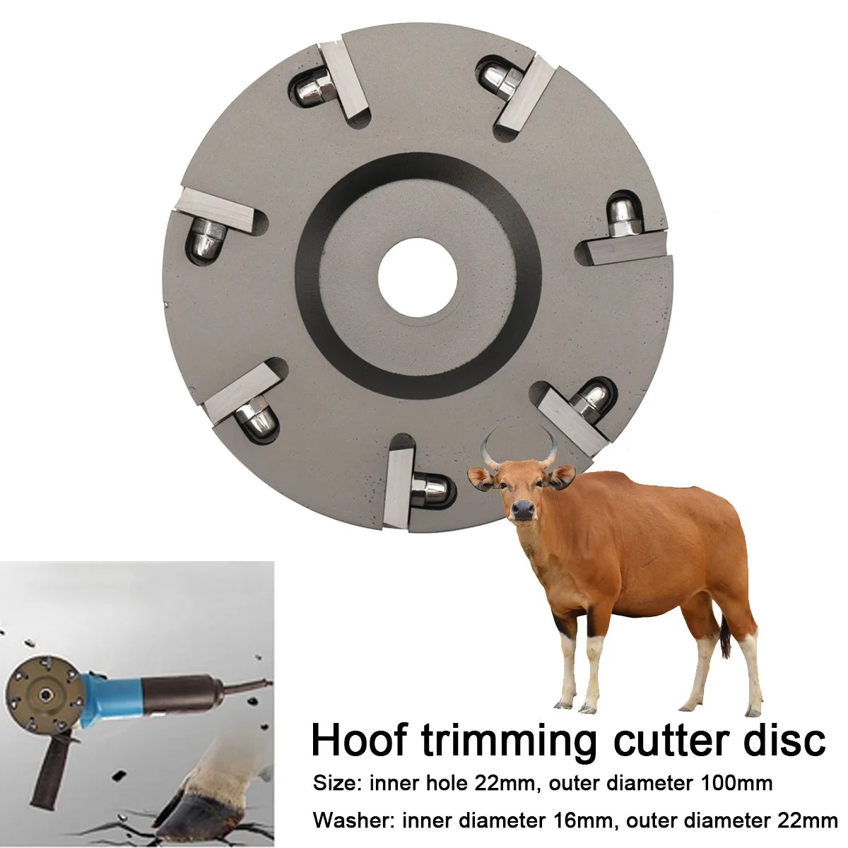 Hoof Care Tool