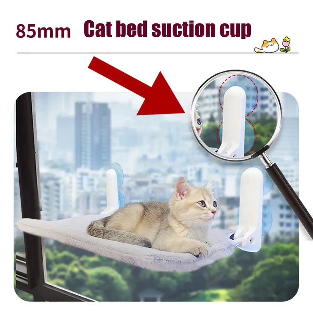 Cat Hammock Suction Cup PVC