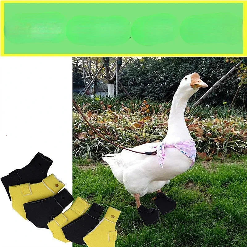 2pcs Waterproof Lightweight Pet Duck Shoes