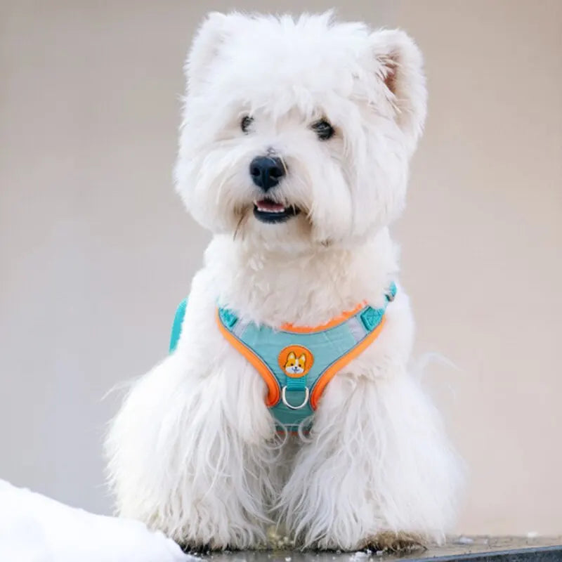 Chest Strap Vest Leash