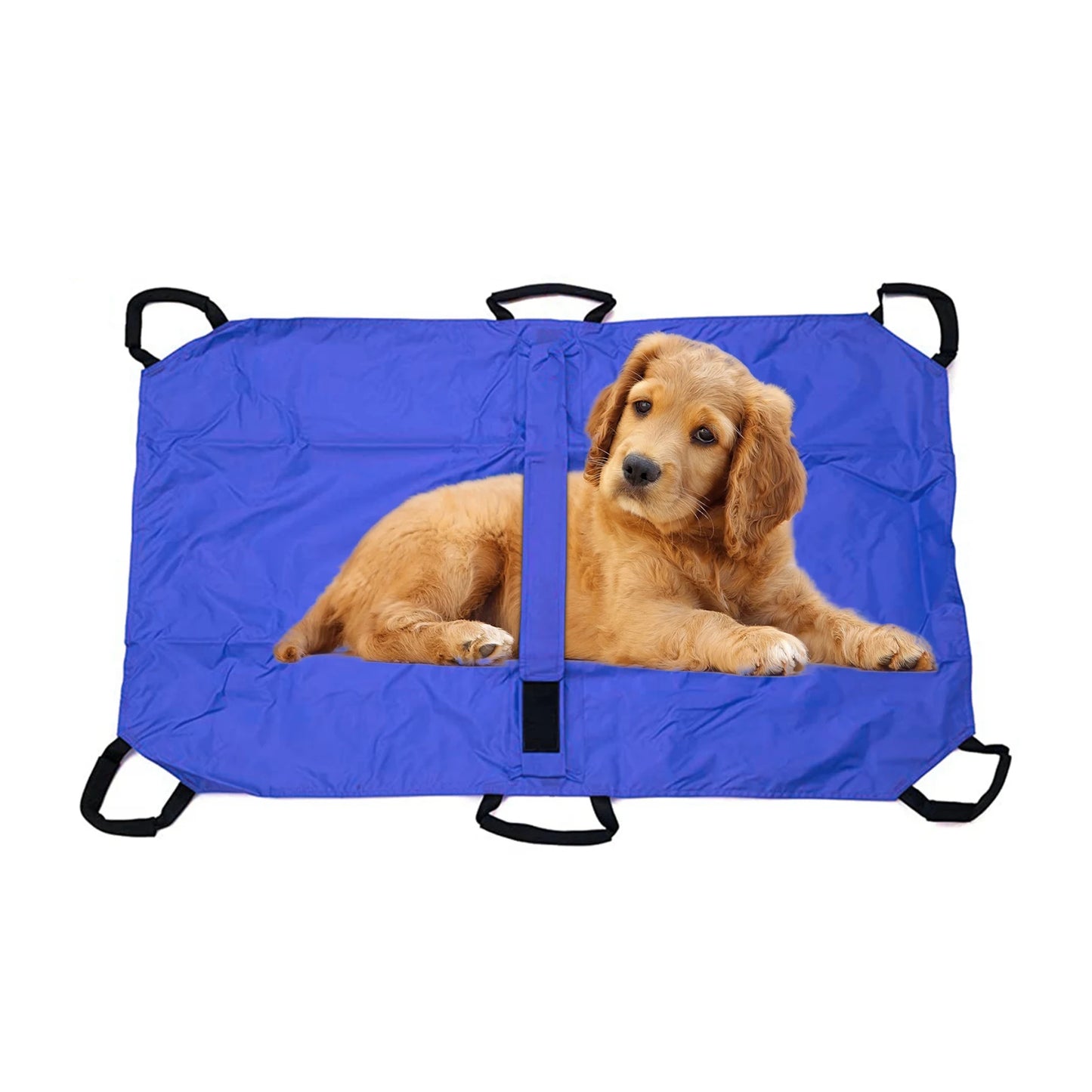 Pet Transport Stretcher, Foldable