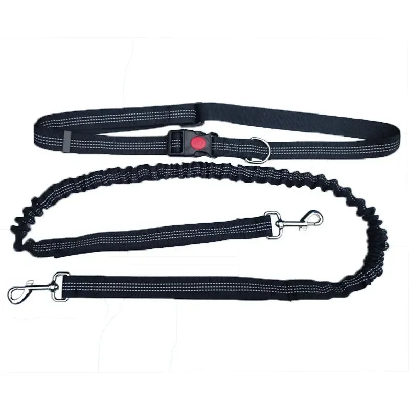 Hand Free Dog Leash for Pet Walking
