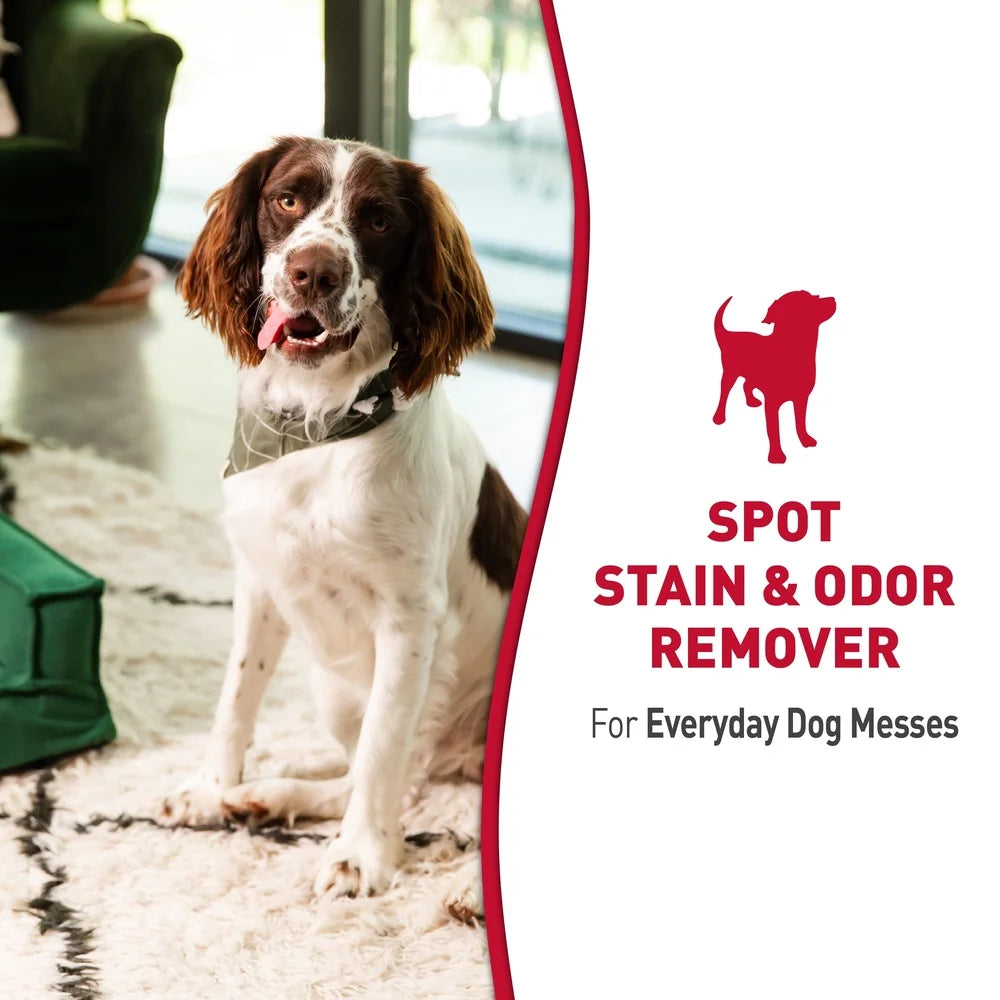 Dog Stain Odor Remover Enzymatic Cleaner