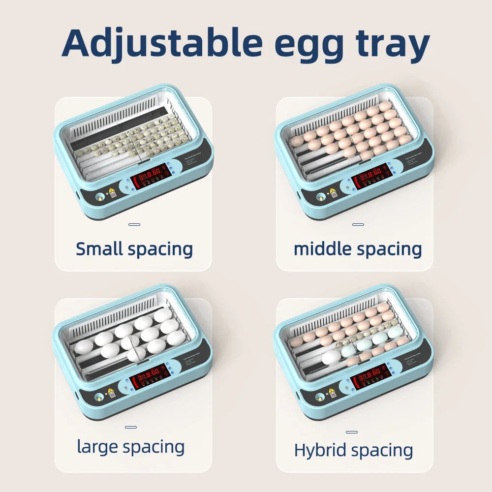 64/6 Chicken Duck Quail Egg Incubator