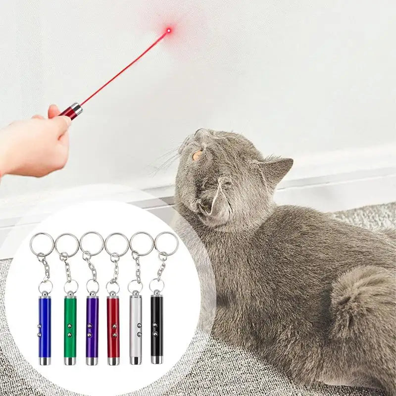 Keychain Red Laser Pointer Pen
