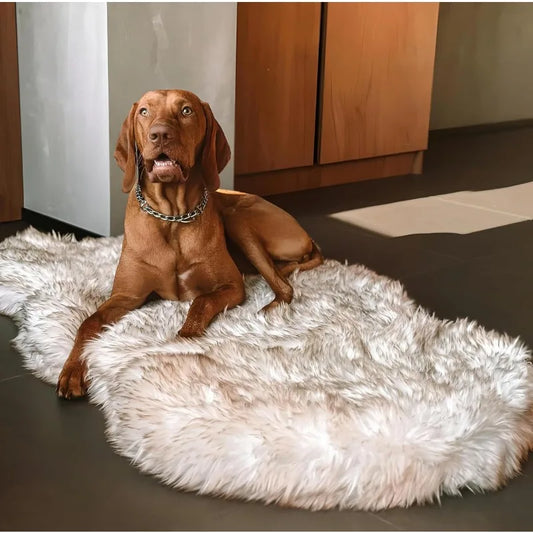 Luxury Faux Fur Orthopedic Dog Bed