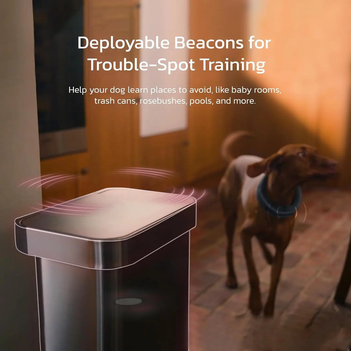 SATELLAI Dog Wireless Fences, Gray