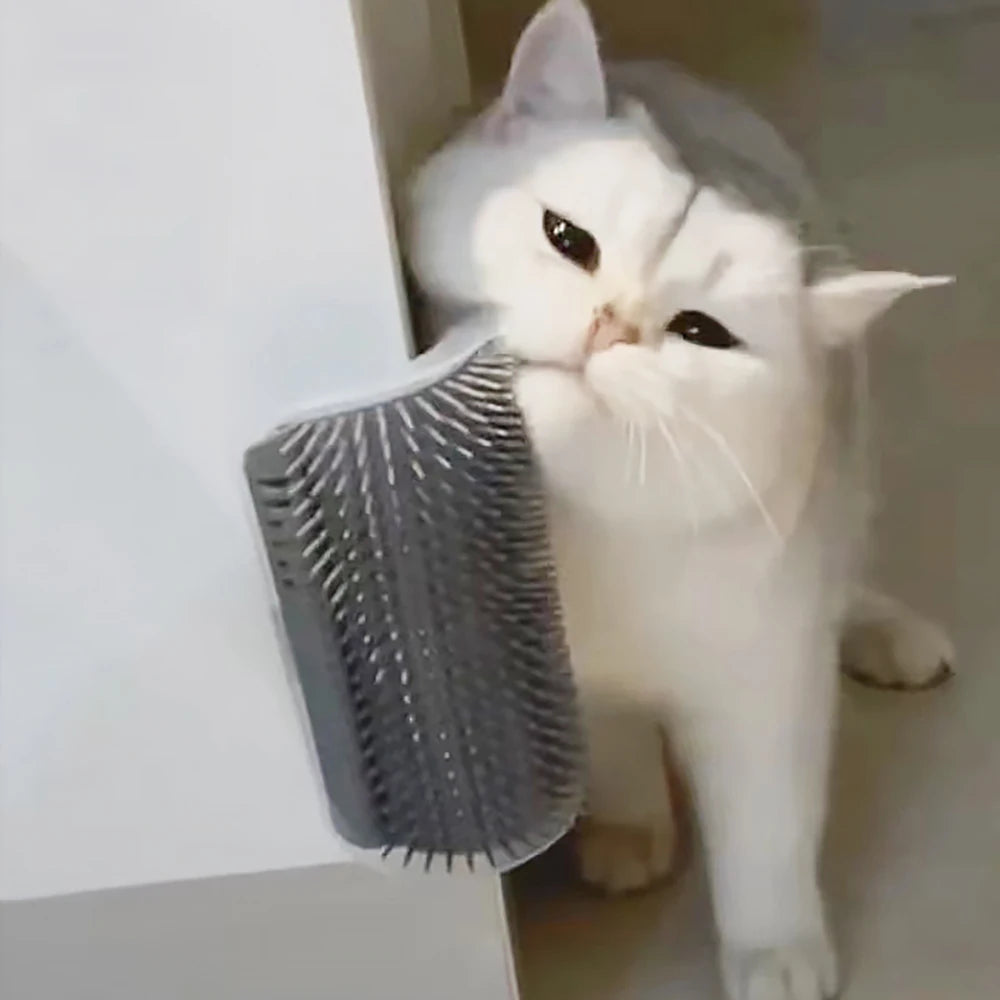 Best-selling Item Massager for Cats