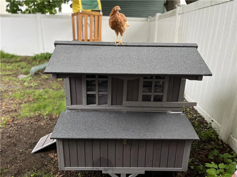 Chicken Coop Mobile