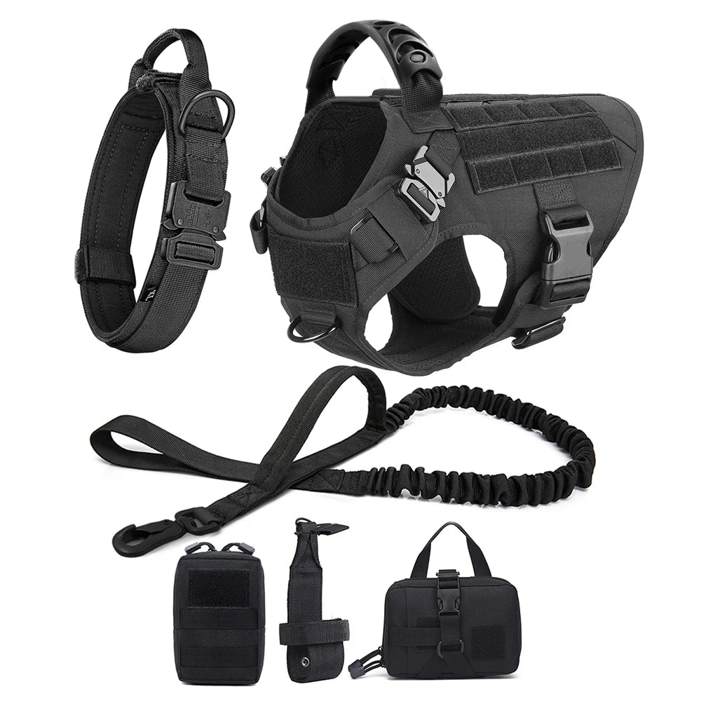 Large Dog Harness and Leash Set