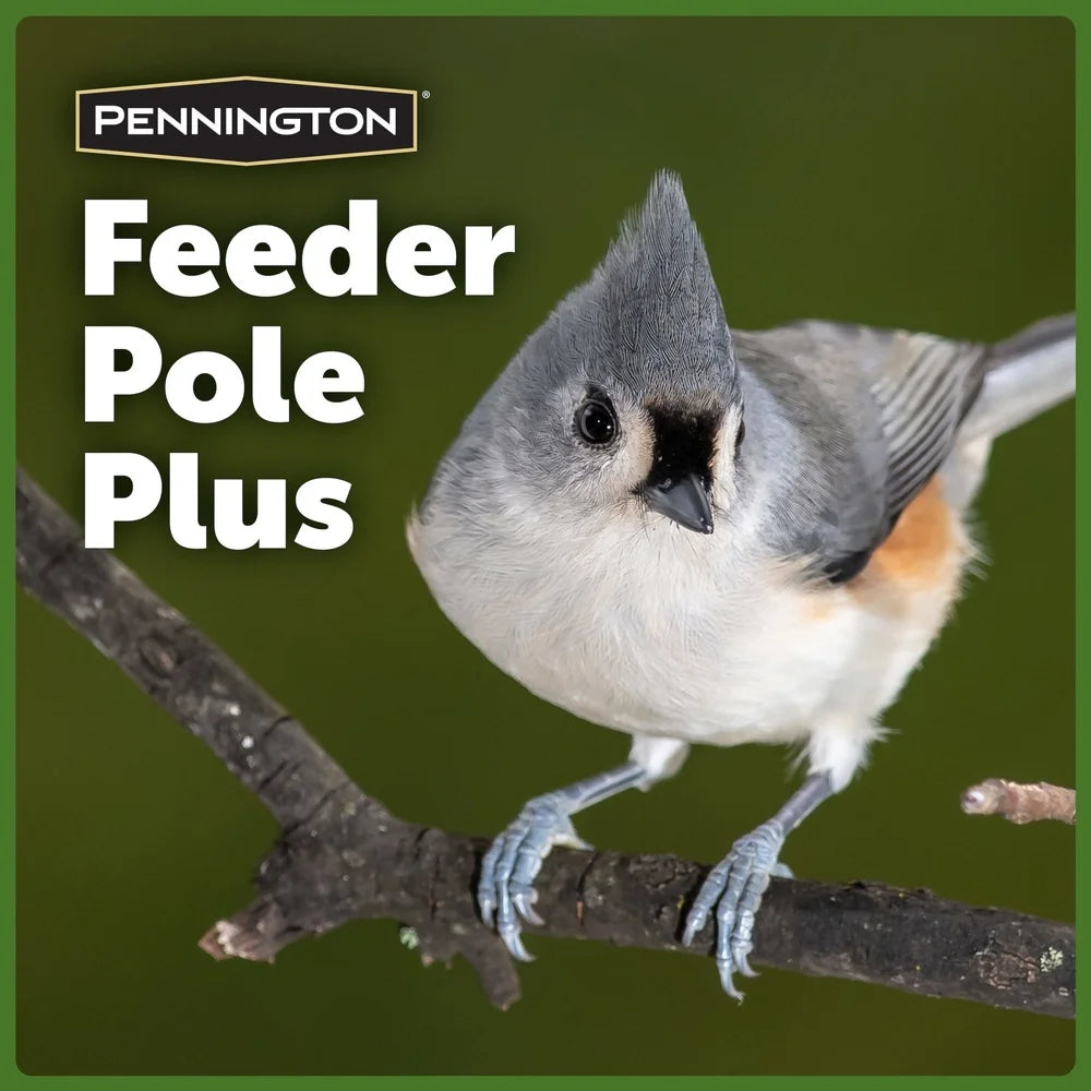 Premium Wild Bird Feeder Pole
