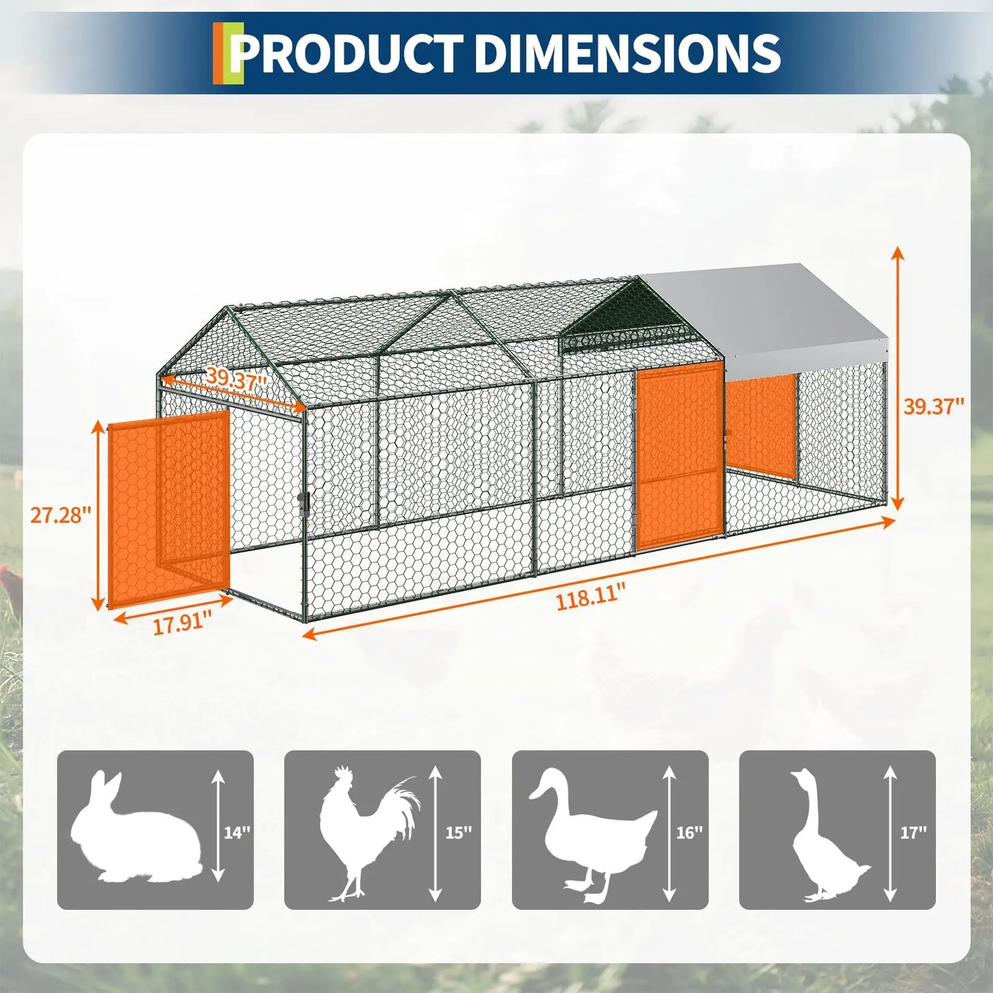 Metal Chicken Coop