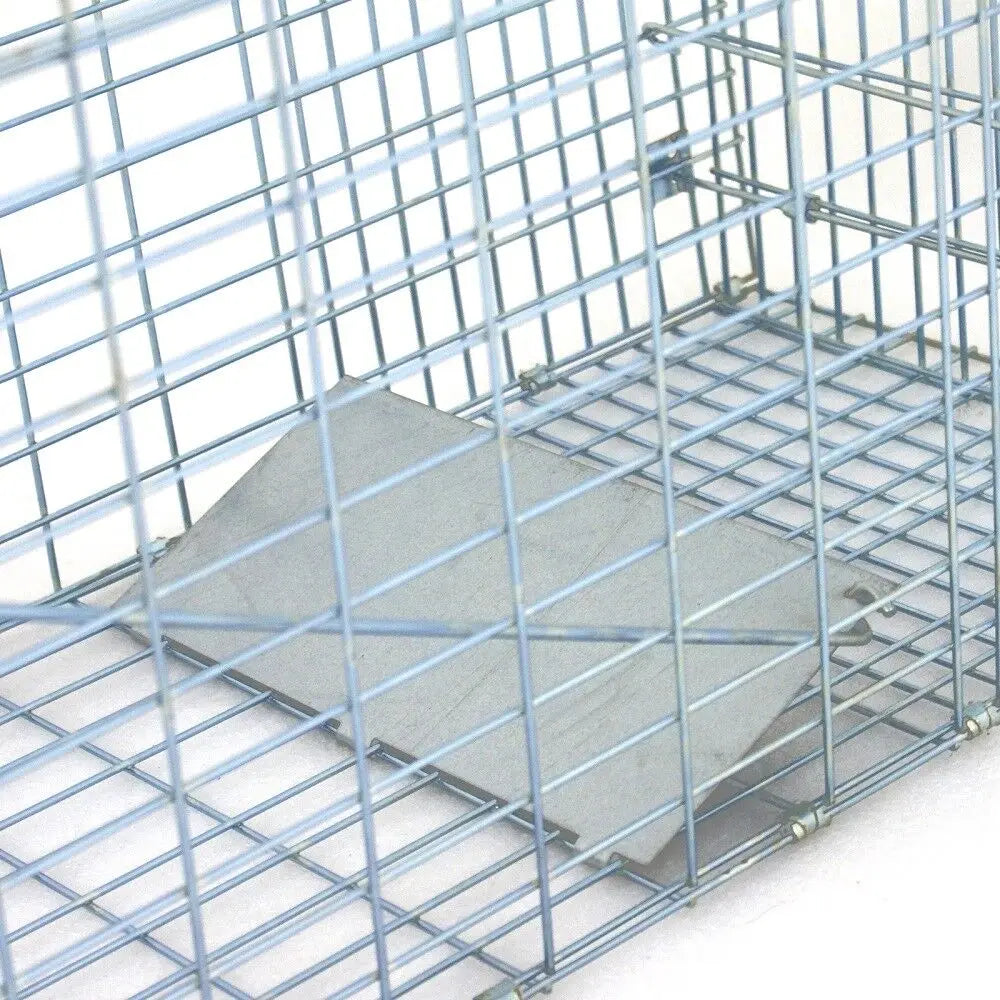 Animal Trap Steel Cage for Small Live Rodent