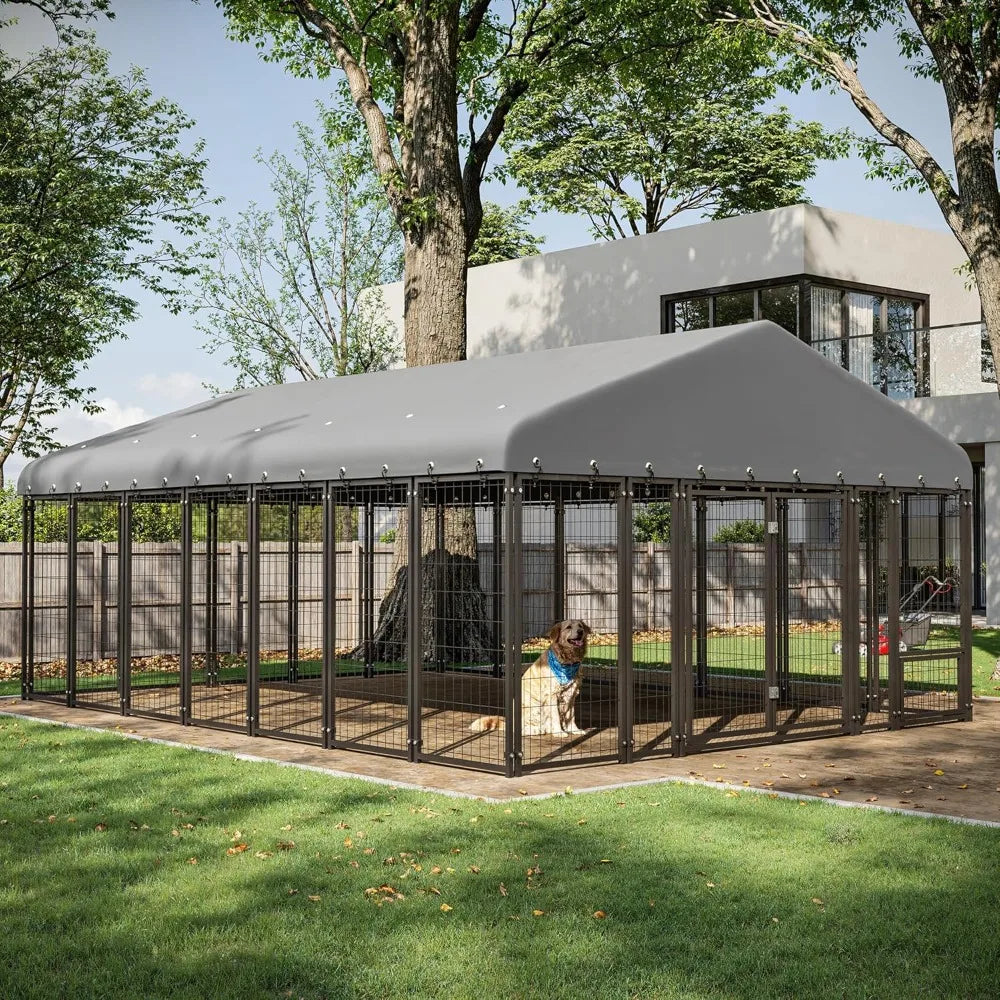 Dog Kennel Outside
