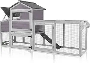 Chicken Coop for Outdoor