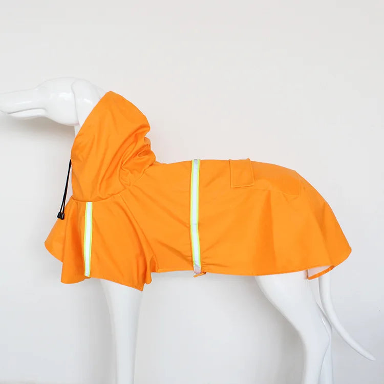 Big Dog raincoat