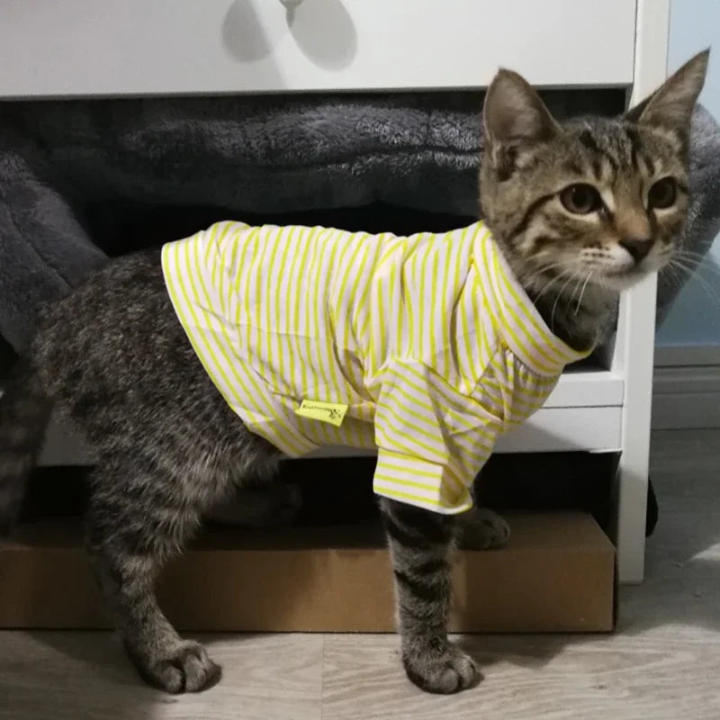 Cute Stripe Pet Cat Vest Shirt