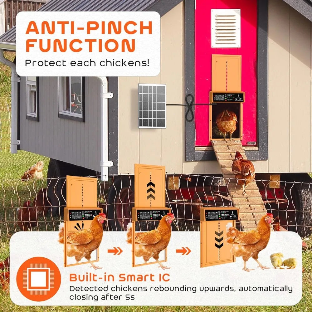 HOME - Automatic Chicken Coop Door