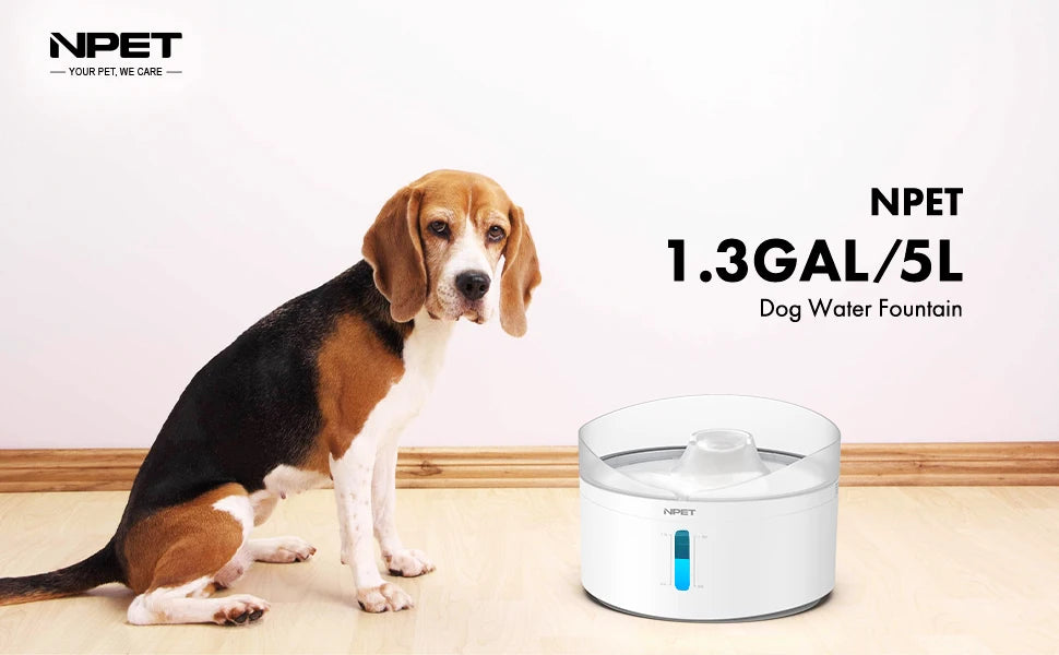 Automatic dog water fountain