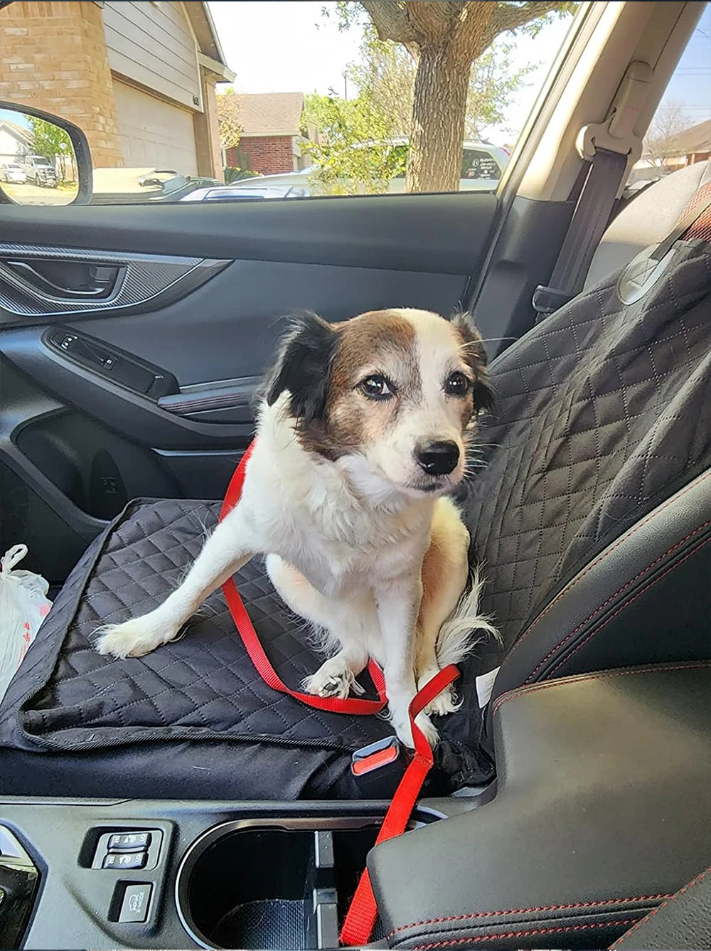 Dog Car Seat Covers