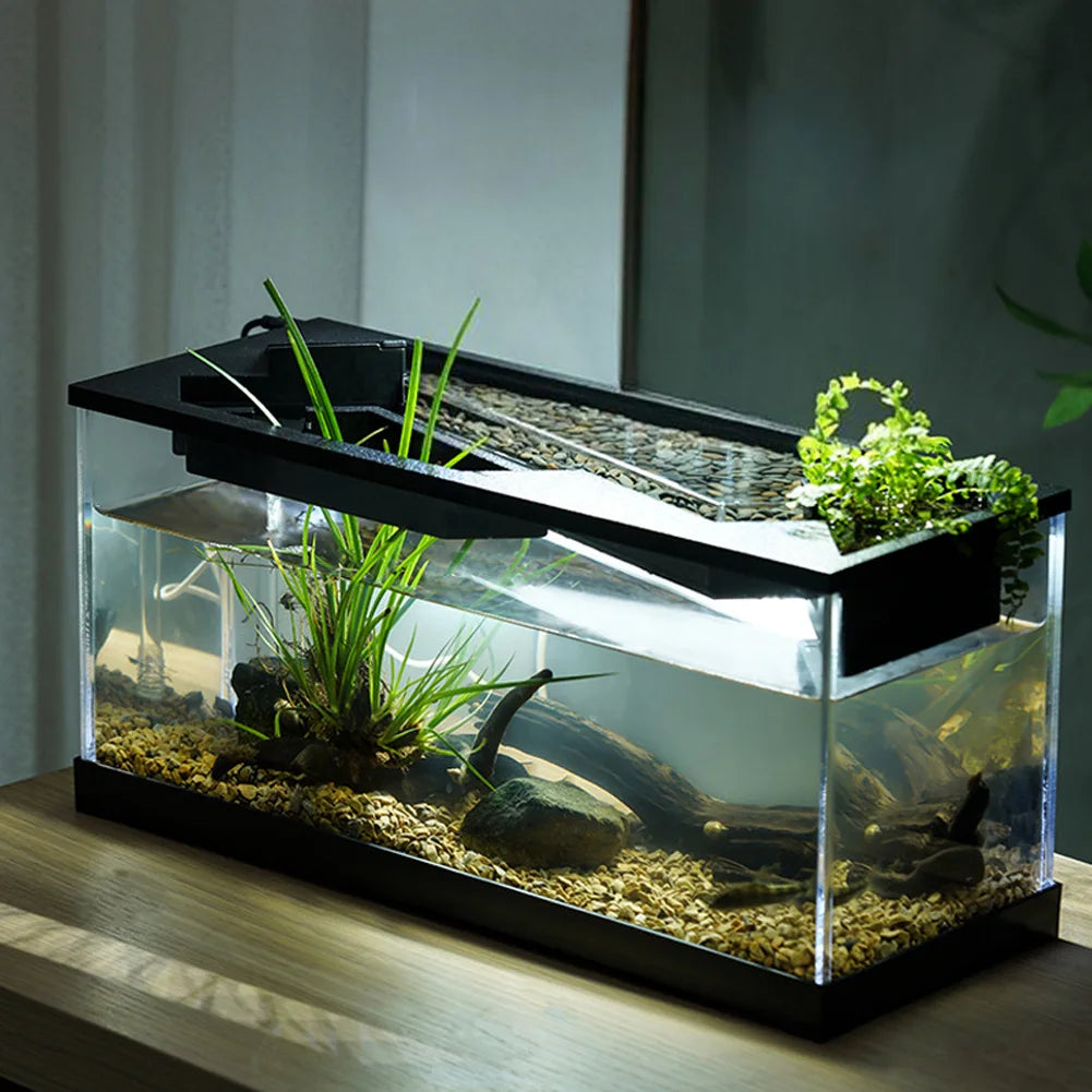 Aquarium Tank With Build-in Light