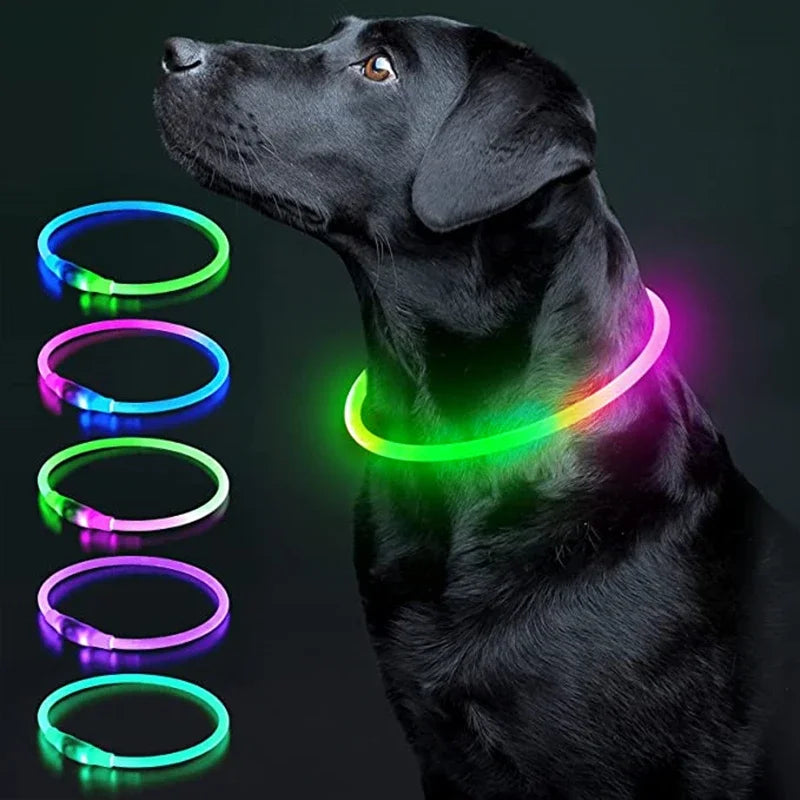 USB Charging Necklace Led Luminous Dog Collar Light