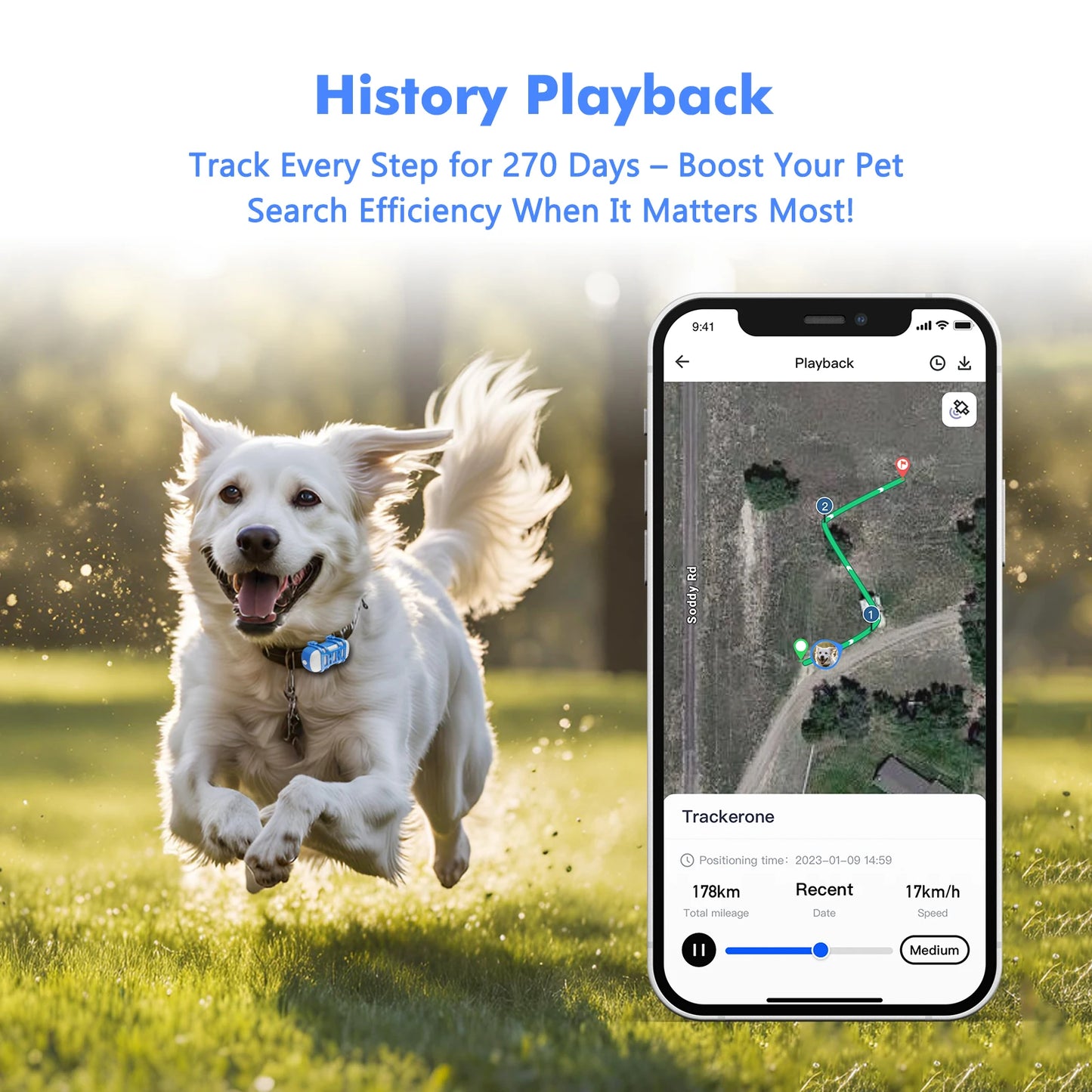4G Mini GPS Tracker for Dog Cat