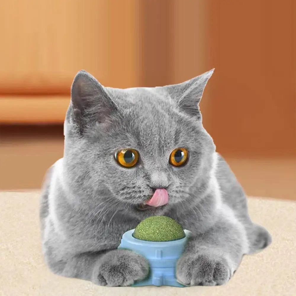 Silvervine Catnip Wall Balls