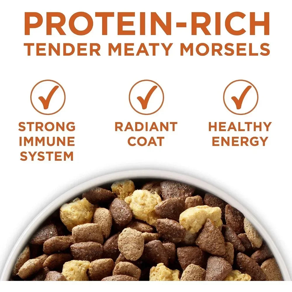 Plus Healthy Weight High-Protein Dog Food