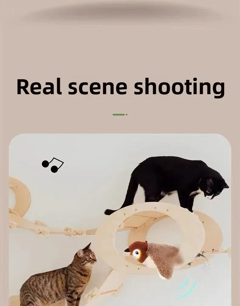 Interactive Cat Toys