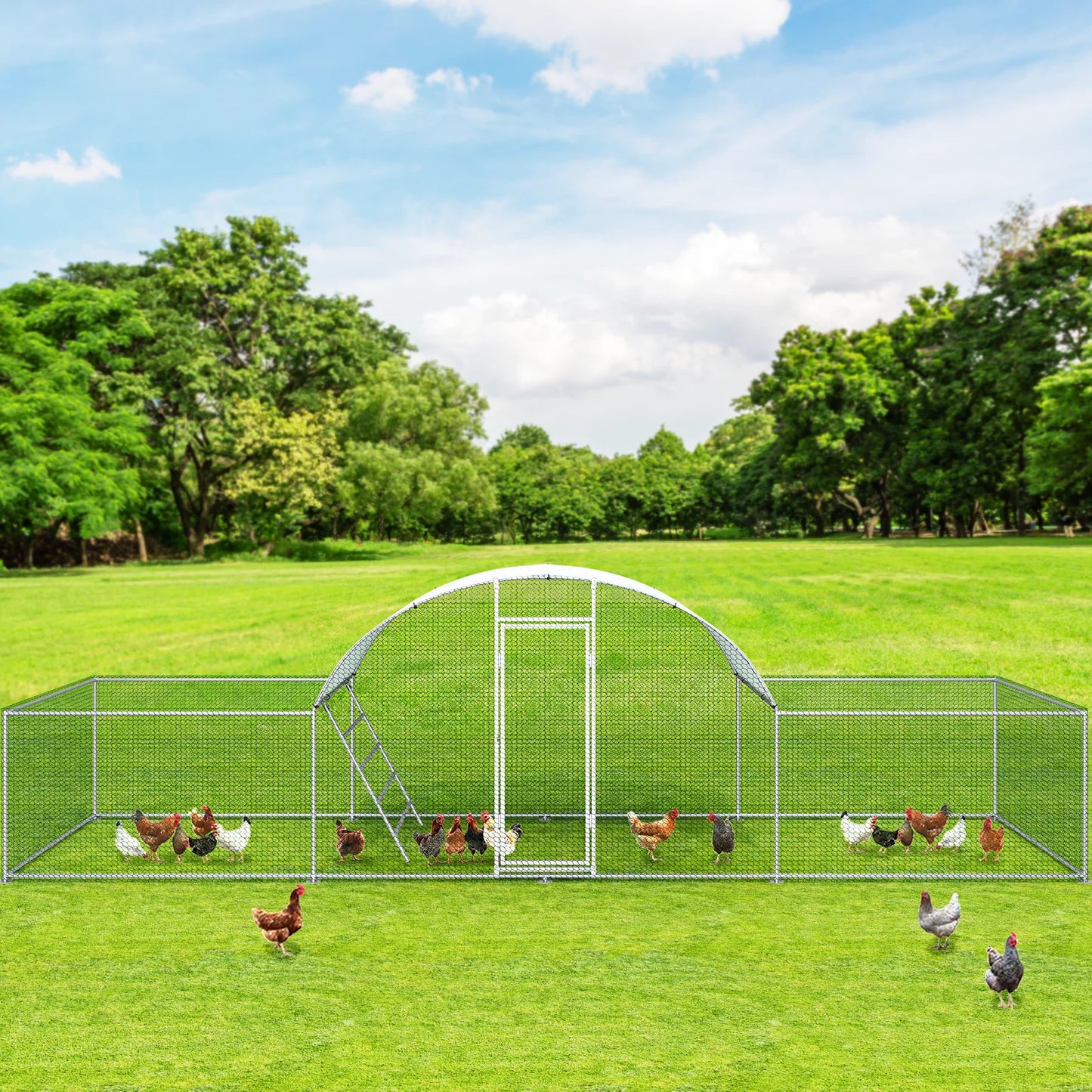 23ft Metal Chicken Coop