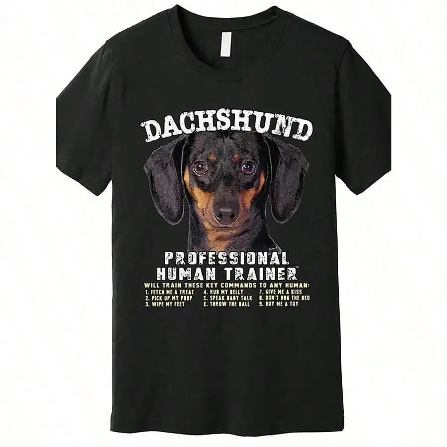 Dachshund Black Tan Professional Human Trainer