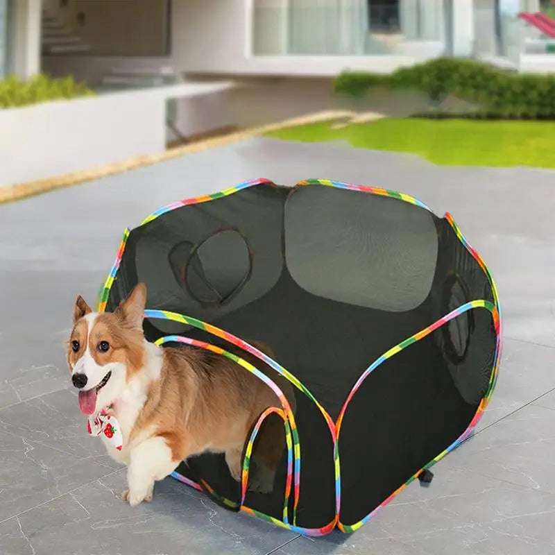 Cat Outside Playhouse Enclosed