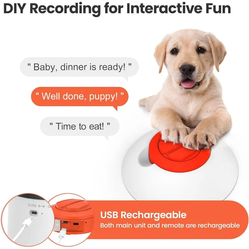 Dog Puzzle Feeder Toy