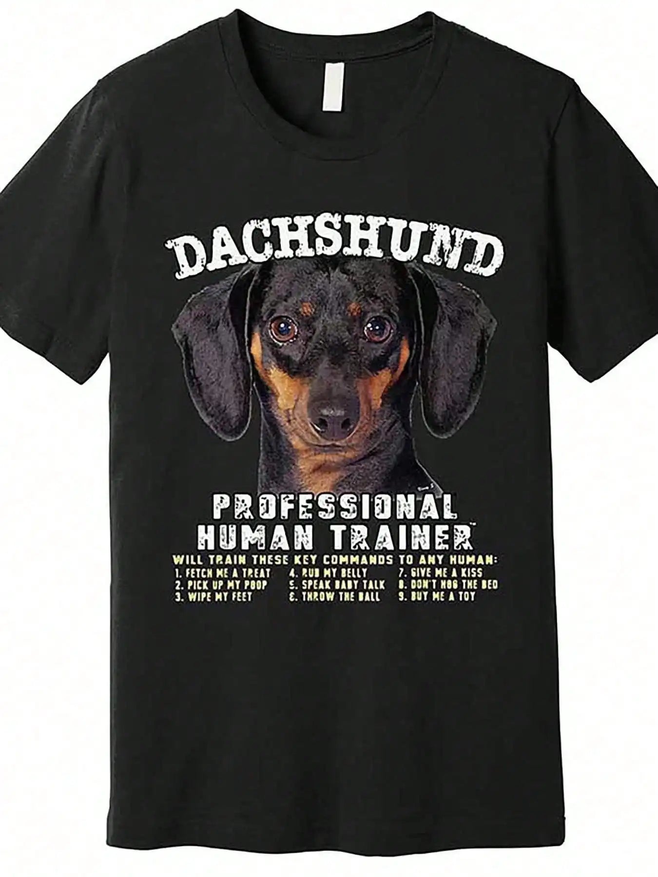 Dachshund Black Tan Professional Human Trainer