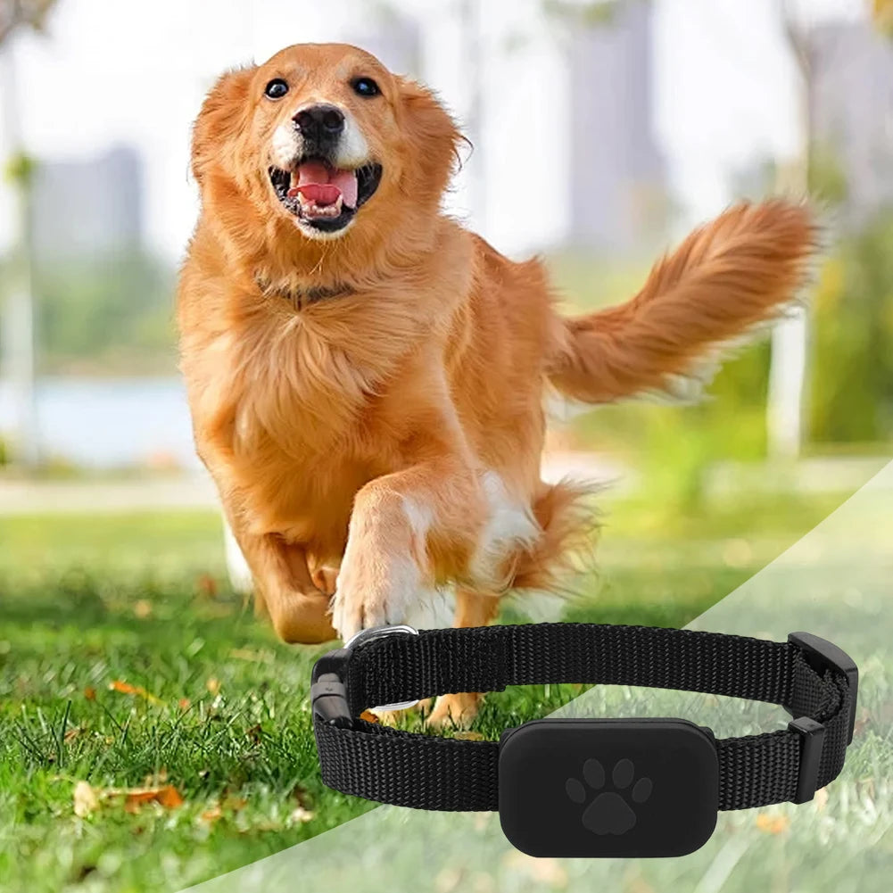Dog Tracker with Adjustable Collar