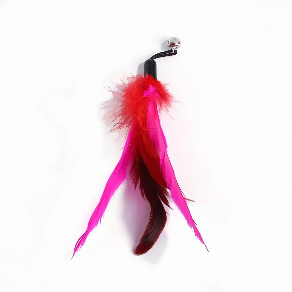 Pet Cat Toy with Bell Color Feather