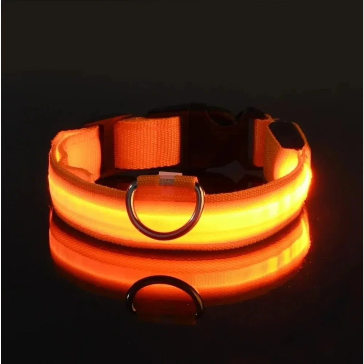 Light Up LED Pet Dog Collar