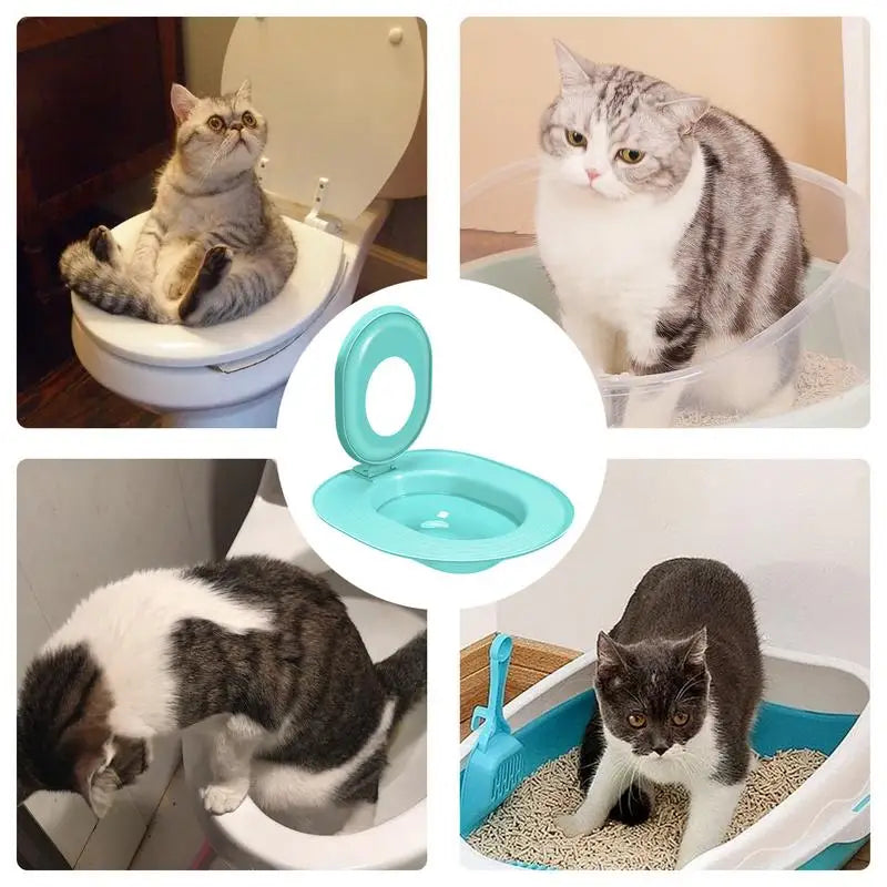Cat Toilet Trainer Sand Box