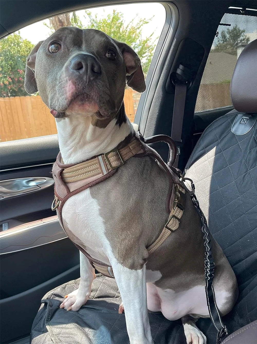 Dog Car Seat Covers