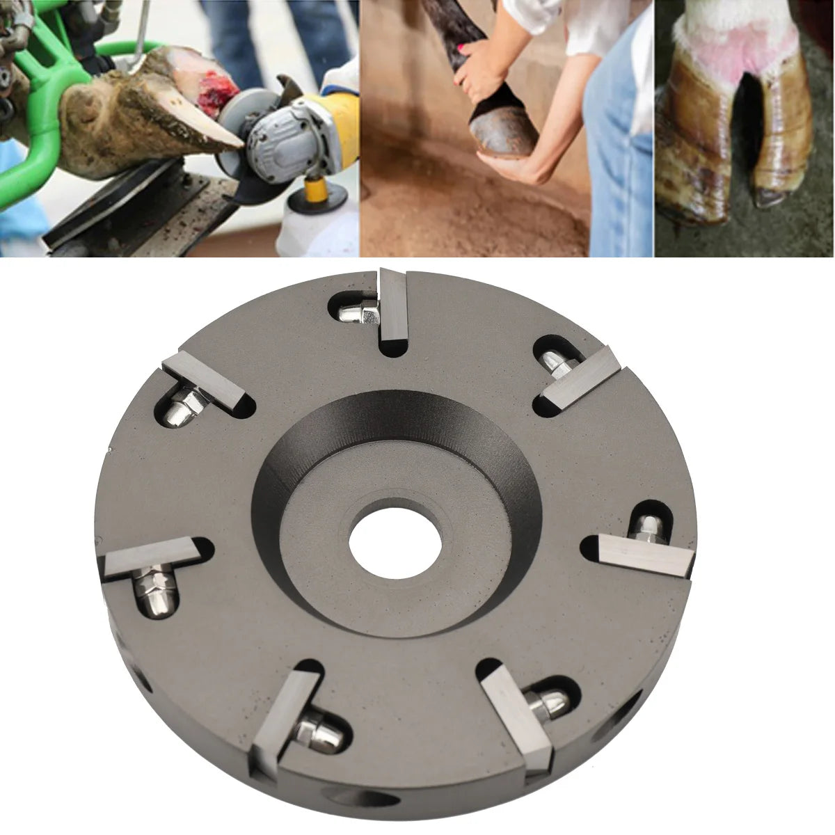 Hoof Care Tool