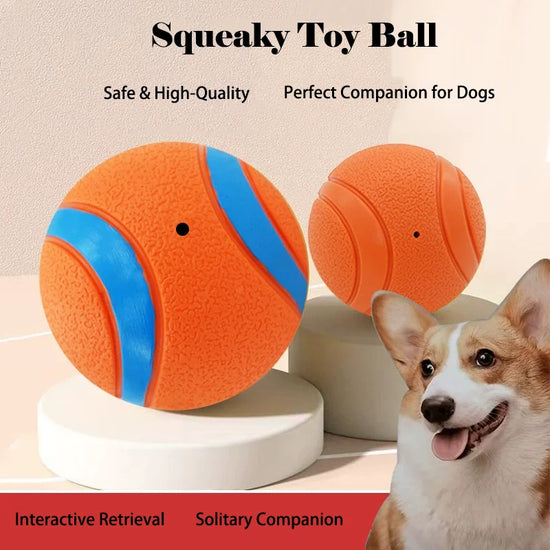 Durable Squeaky Dog Ball Toy